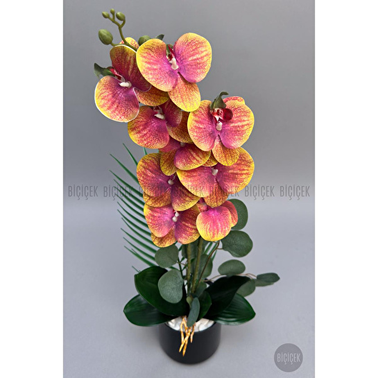 Biçiçek Yapay Phalaenopsis Orkide Buyuk Boy