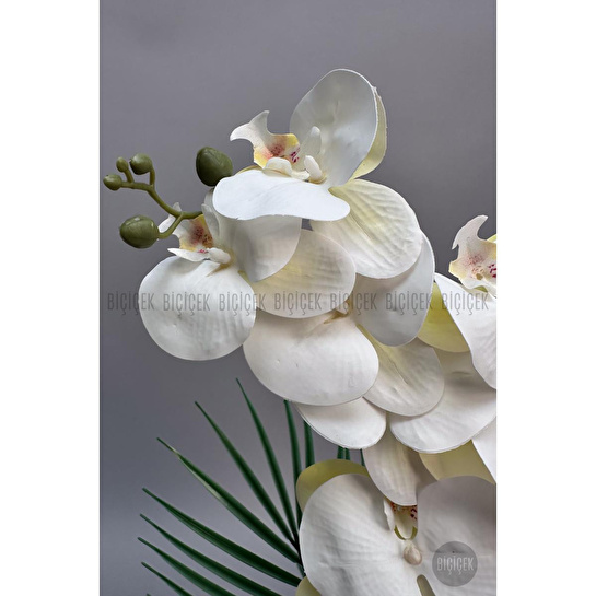 Biçiçek Yapay Phalaenopsis Orkide Buyuk Boy