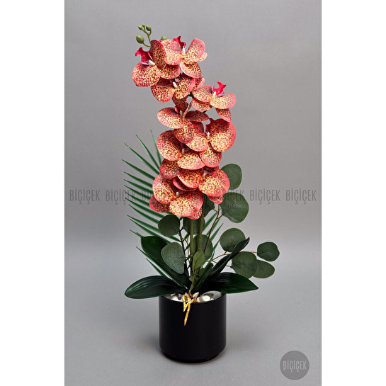 Biçiçek Yapay Phalaenopsis Orkide Buyuk Boy
