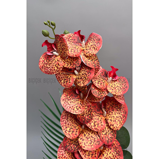 Biçiçek Yapay Phalaenopsis Orkide Buyuk Boy