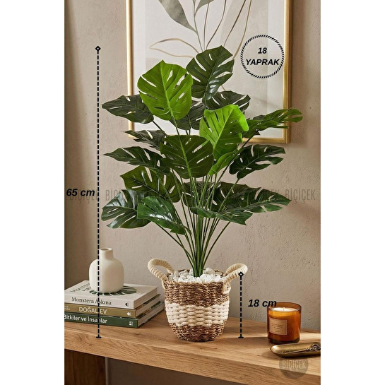 Biçiçek Monstera Bitkisi Krem Örgülü Hasır Saksıda