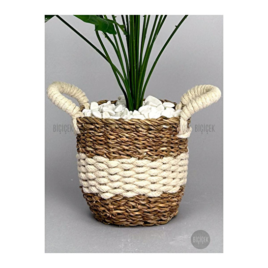 Biçiçek Monstera Bitkisi Krem Örgülü Hasır Saksıda