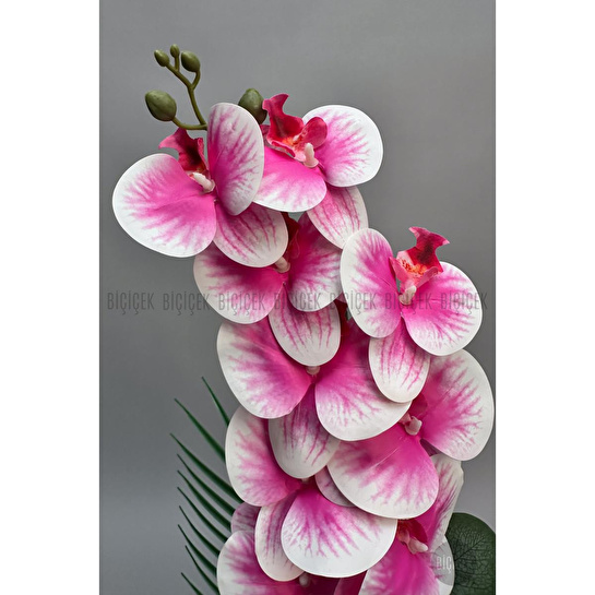 Biçiçek Yapay Phalaenopsis Orkide Buyuk Boy