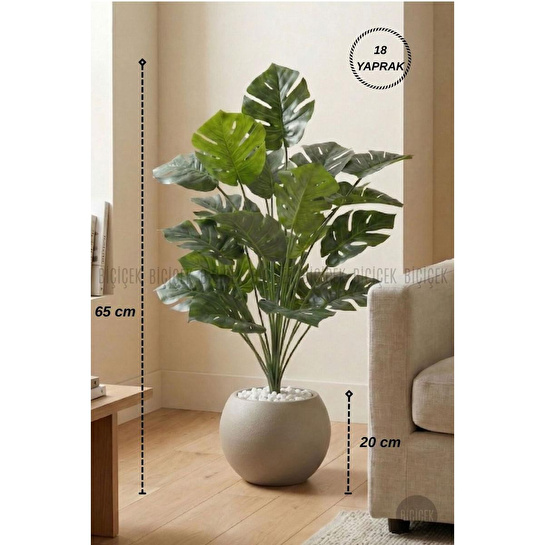 Biçiçek Monstera Bitkisi 65 Cm Küre Saksıda