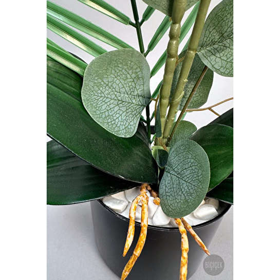 Biçiçek Yapay Phalaenopsis Orkide Buyuk Boy