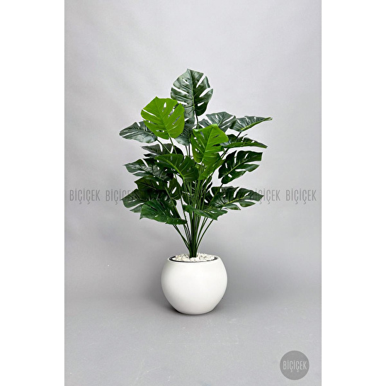 Biçiçek Monstera Bitkisi 65 Cm Küre Saksıda
