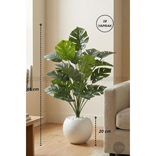 Biçiçek Monstera Bitkisi 65 Cm Küre Saksıda