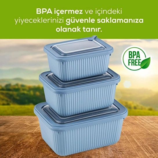 Vienev 3'lü Mikrodalga Ve Difrize Uygun Vip Kapaklı Özel Saklama Kabı Seti Mavi