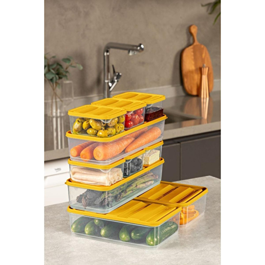 Vienev 10lu Buzdolabı Dondurucu Organizer Ve Saklama Kabı Turuncu 6x 350ml 2x 1,65lt 2x 1,75lt Turuncu