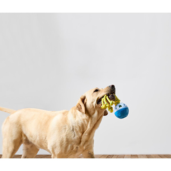 Tchibo Köpek Fırlatma Ve Su Oyuncağı