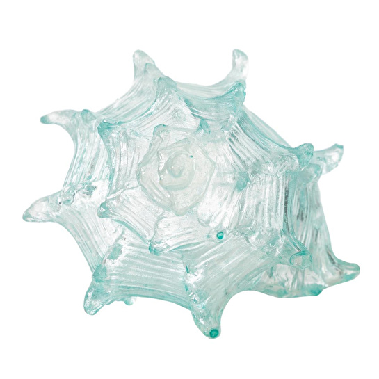 Mudo Home Ocean Shell Bi̇blo 20x16x12 Cm