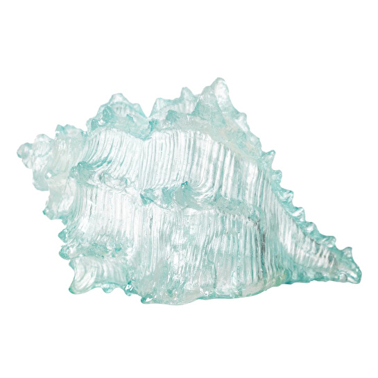 Mudo Home Ocean Shell Bi̇blo 20x16x12 Cm