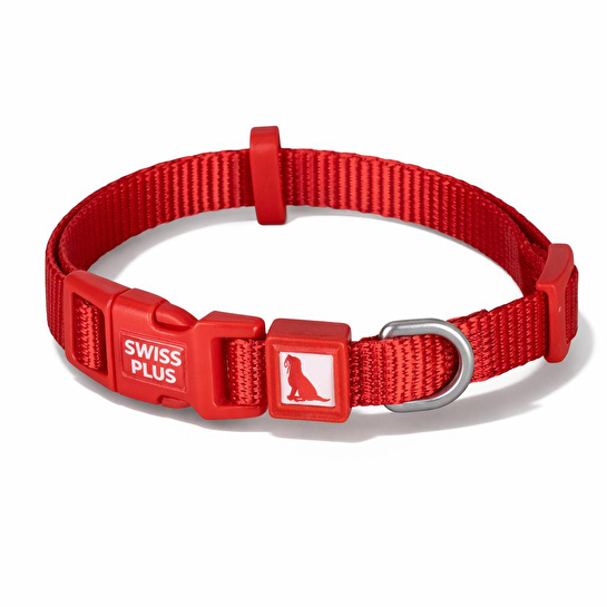 Bloominbag Swissplus Urban Paws Köpek Tasması – Crimson Red | Ayarlanabilir, Dayanıklı, Hafif-10mm