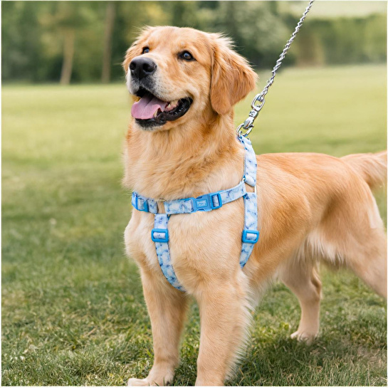Bloominbag Swissplus Urban Paws Blue Batic Geri Dönüştürülmüş H-tipi Köpek Göğüs Tasması-2xs