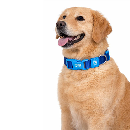 Bloominbag Swissplus Urban Paws Köpek Tasması – Deep Ocean Blue | Ayarlanabilir, Dayanıklı, Hafif-20mm