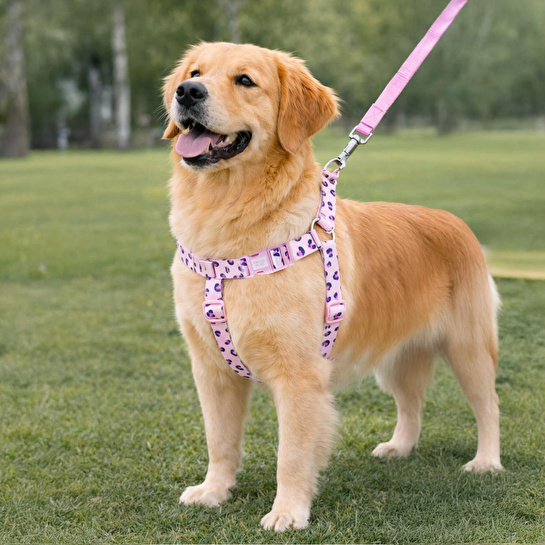 Bloominbag Patterned Recycled H-type Harness