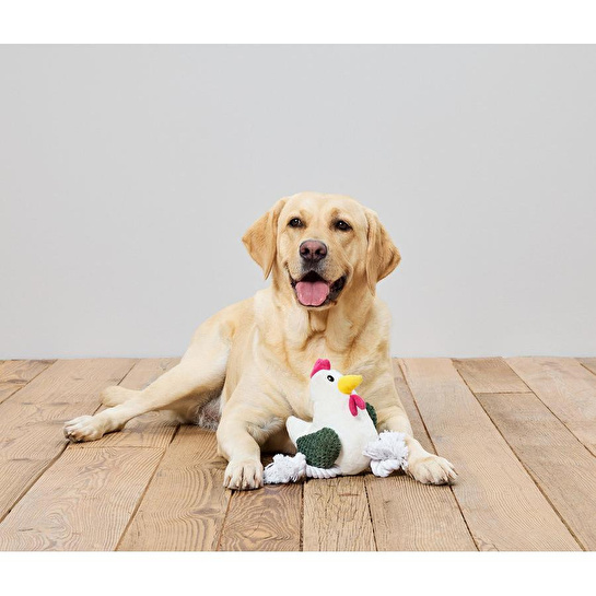 Tchibo Köpek Oyuncağı, Halat