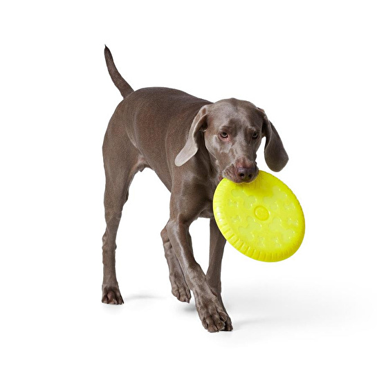 Tchibo Köpekler İçin Frizbi