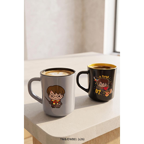Rakle Harry Potter 2'li Kupa Seti 250 Cc
