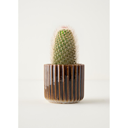 Bella Maison Lavea Seramik Saksı Gri (13x13x12 Cm) Gri