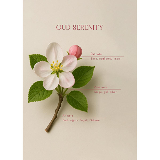 Bella Maison Oud Serenity Soya Wax Kokulu Mum Amber (120 Gr) Amber