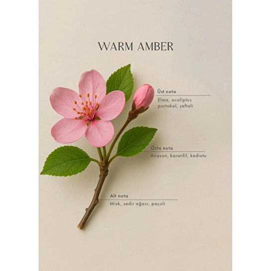 Bella Maison Warm Amber Oda Spreyi (500 Ml) Pembe