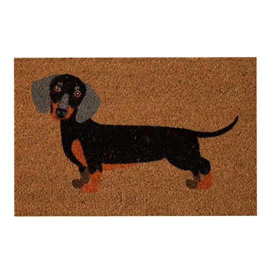 Mudo Home Dog Kapi Paspas 40x60 Cm