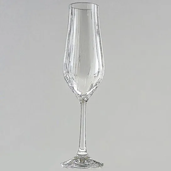 Jumbo Tulipa Şampanya Kadeh Takımı