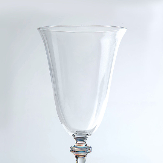 Jumbo Salvia 6'lı Kadeh Takımı 250 ml