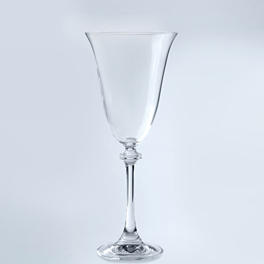 Jumbo Salvia 6'lı Kadeh Takımı 250 ml
