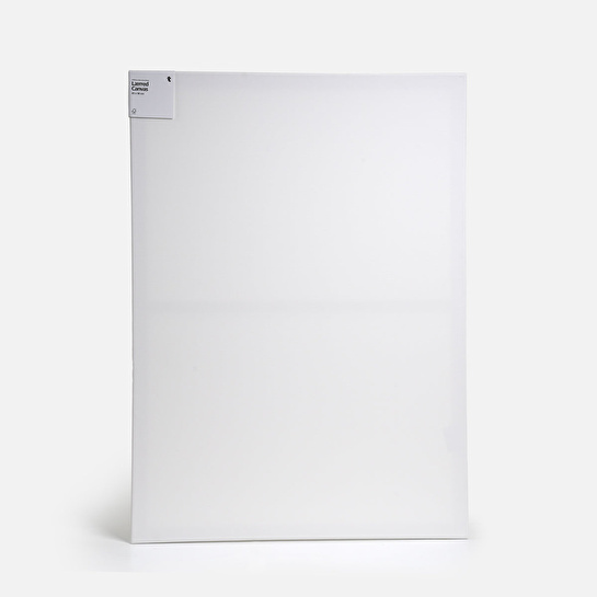 Flying Tiger Copenhagen Kanvas Tuval 65 cm x 90 cm