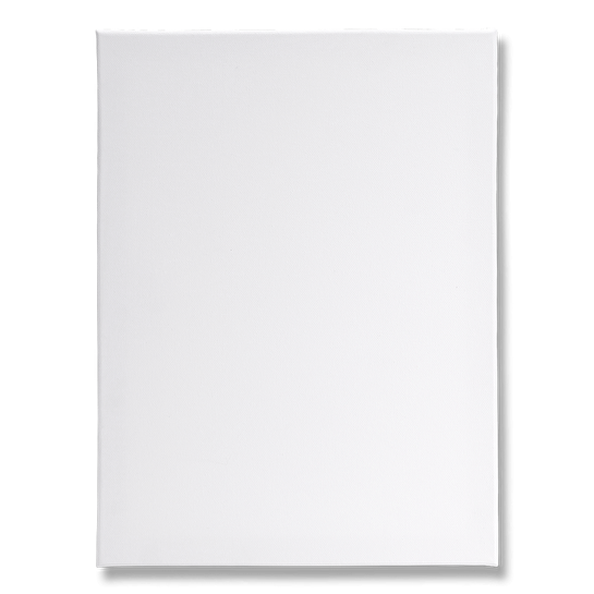 Flying Tiger Copenhagen Kanvas Tuval 30 cm x 40 cm