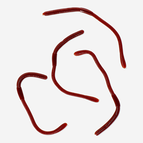 Flying Tiger Copenhagen Kahverengi Yapışkan Solucan Seti