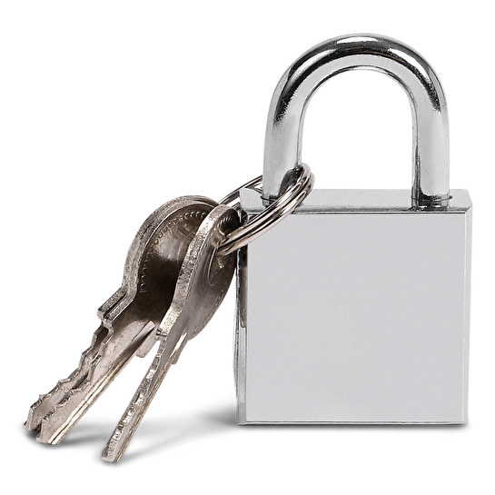 Flying Tiger Copenhagen Anahtarlı Asma Kilit 2,5 cm