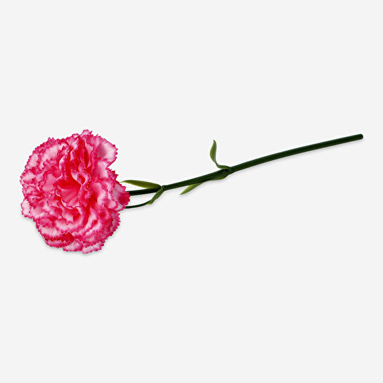 Flying Tiger Copenhagen Pembe Yapay Karanfil 27 cm