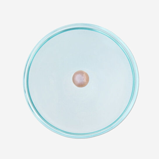 Flying Tiger Copenhagen Renkli Cam Kavanoz 650 ml