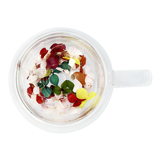 Flying Tiger Copenhagen Kurutulmuş Çiçek Detaylı Çift Cidarlı Cam Kupa