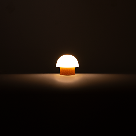 Flying Tiger Copenhagen Ahşap Görünümlü Beyaz Bahçe Lambası