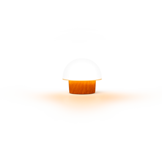 Flying Tiger Copenhagen Ahşap Görünümlü Beyaz Bahçe Lambası