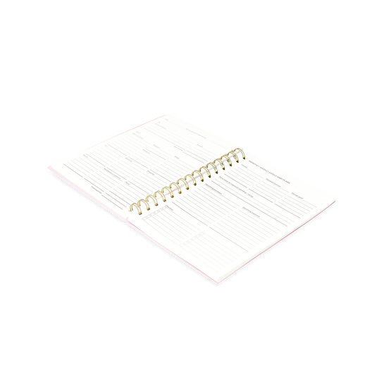 Flying Tiger Copenhagen Pembe Stickerlı Bütçe Planlama Defteri A5