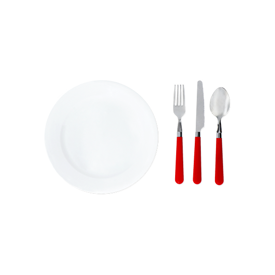 Flying Tiger Copenhagen 2 Kişilik Çantalı Tabak ve Çatal Kaşık Bıçak Seti