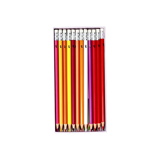 Flying Tiger Copenhagen 24'lü Silinebilir Boya Kalemi