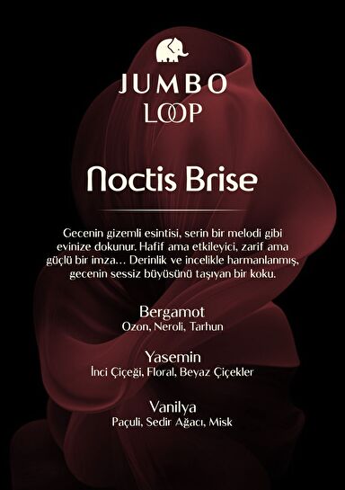 Jumbo Loop Noctis Brise Çubuklu Oda Kokusu, Mat Burgendy Şişe