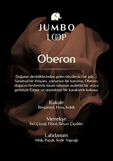 Jumbo Loop Oberon Çubuklu Oda Kokusu, Mat Kahve Şişe