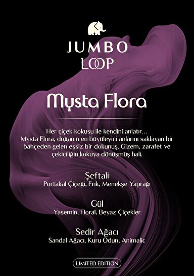 Jumbo Loop Mysta Flora Çubuklu Oda Kokusu, Mat Gül Kurusu Şişe
