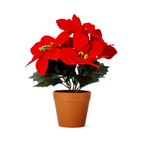 Flying Tiger Copenhagen Saksıda Yapay Yılbaşı Çiçeği