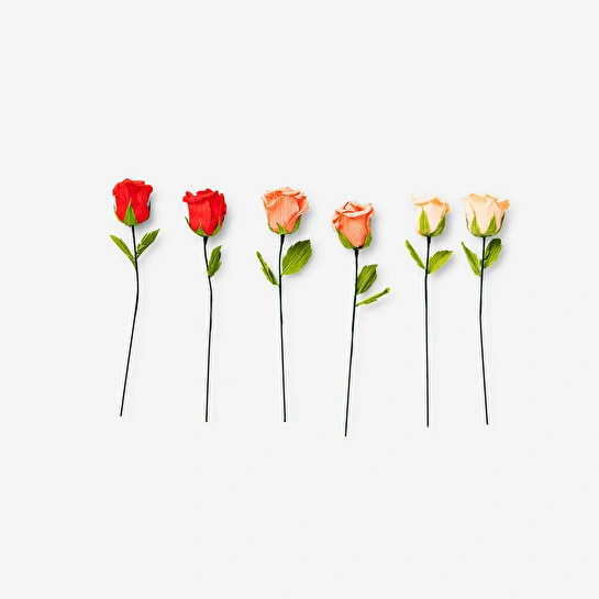 Flying Tiger Copenhagen Kendin Yap Kağıt Çiçek Seti