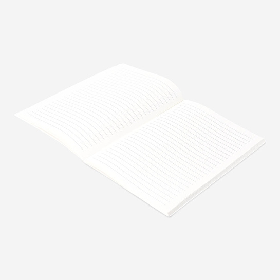Flying Tiger Copenhagen Yeşil Renk Geçişli A5 Defter