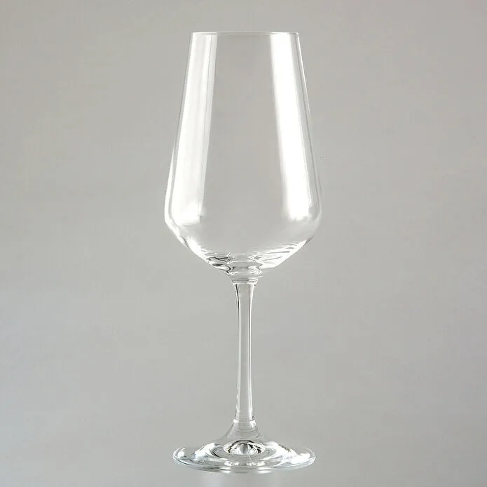 Jumbo Lina 6'lı Kadeh Takımı 450 ml