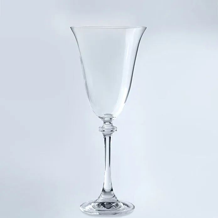 Jumbo Salvia 6'lı Kadeh Takımı 250 ml